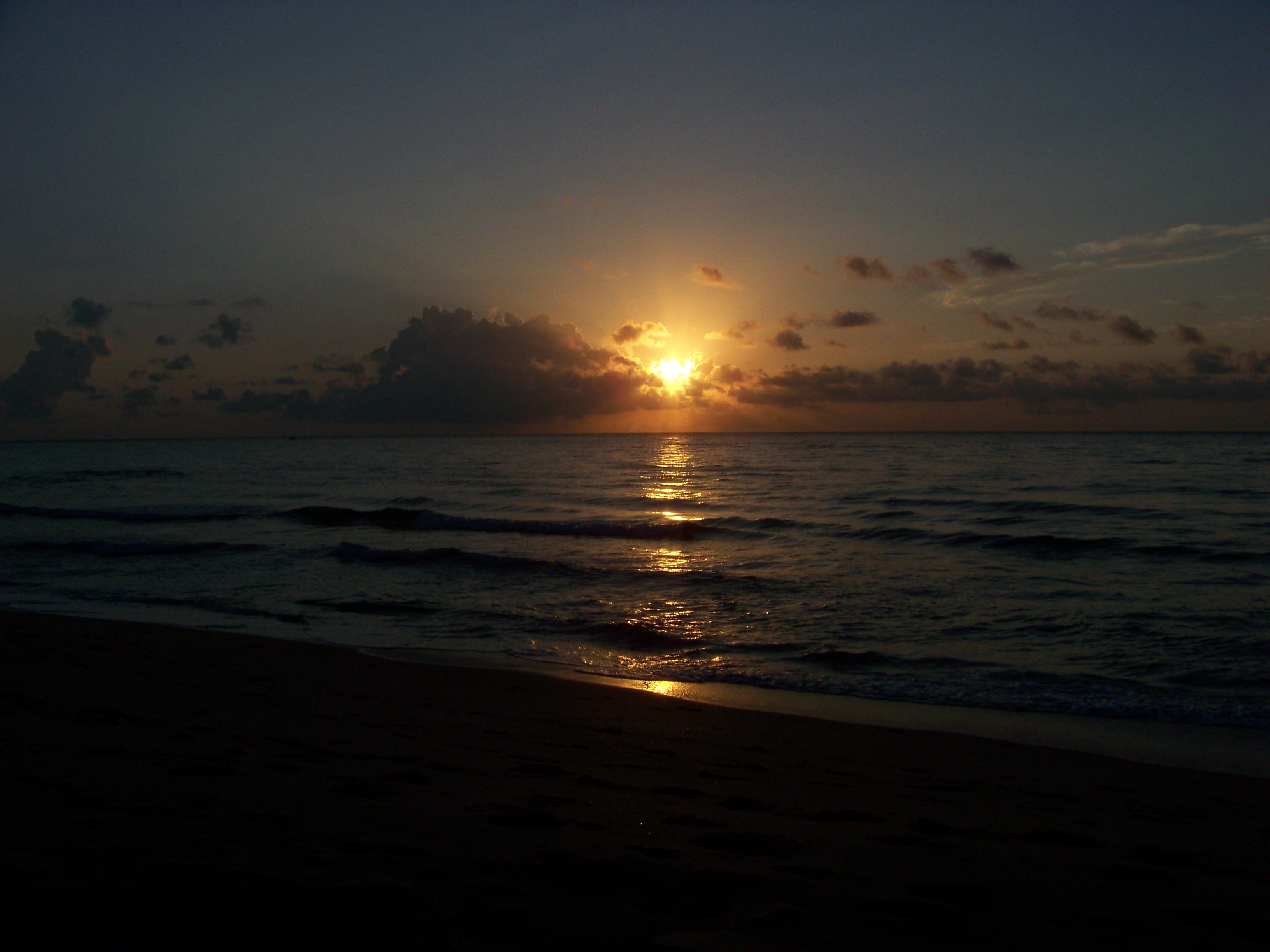 morning_star.jpg